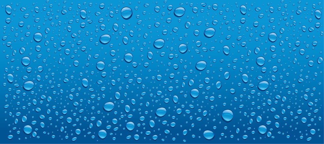 Expert Tips for Water & Moisture Control in Bathrooms